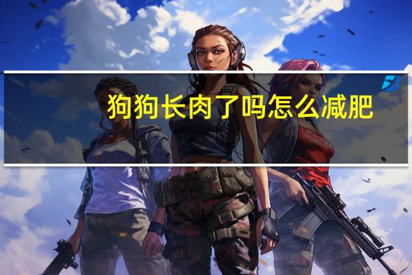 狗狗长肉了吗怎么减肥