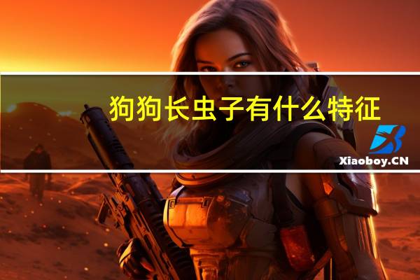 狗狗长虫子有什么特征