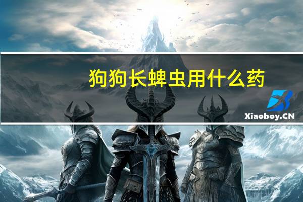狗狗长蜱虫用什么药