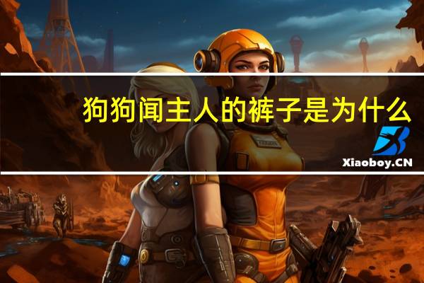 狗狗闻主人的裤子是为什么