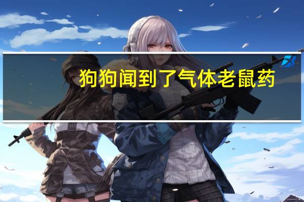 狗狗闻到了气体老鼠药