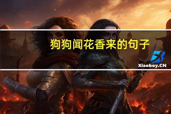 狗狗闻花香来的句子