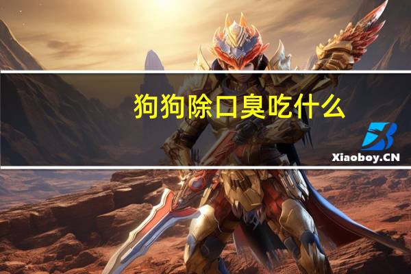 狗狗除口臭吃什么