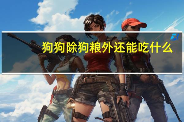 狗狗除狗粮外还能吃什么