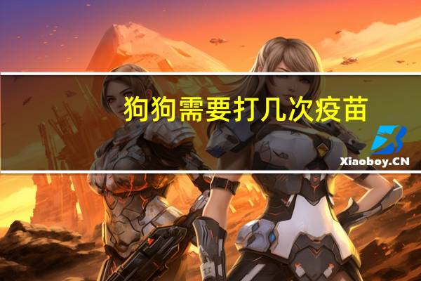 狗狗需要打几次疫苗