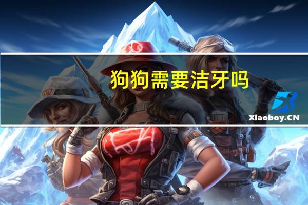 狗狗需要洁牙吗