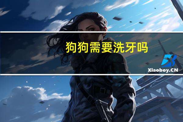 狗狗需要洗牙吗