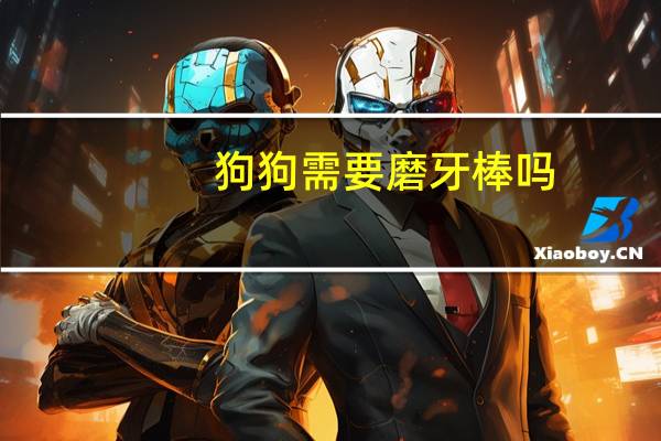 狗狗需要磨牙棒吗