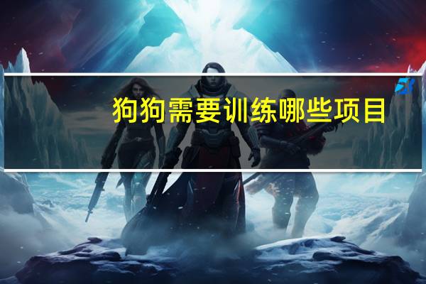 狗狗需要训练哪些项目