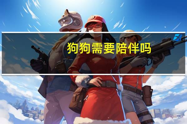 狗狗需要陪伴吗