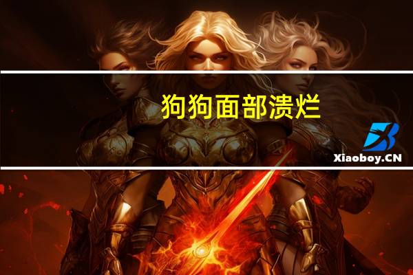 狗狗面部溃烂