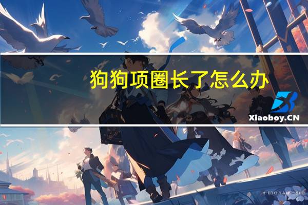 狗狗项圈长了怎么办