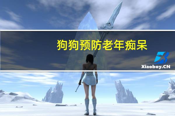 狗狗预防老年痴呆