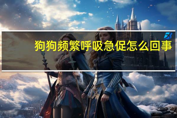 狗狗频繁呼吸急促怎么回事