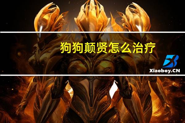狗狗颠贤怎么治疗