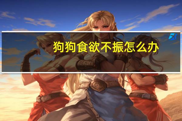 狗狗食欲不振怎么办
