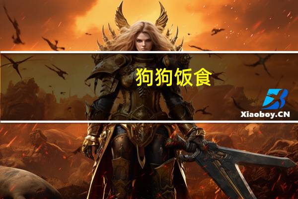 狗狗饭食