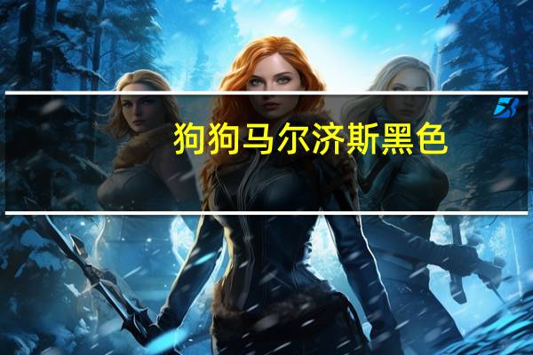 狗狗马尔济斯黑色