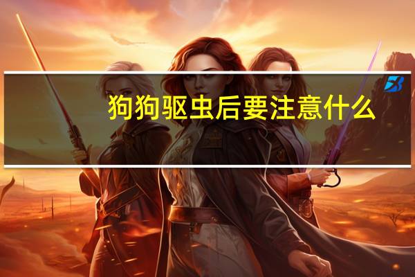 狗狗驱虫后要注意什么