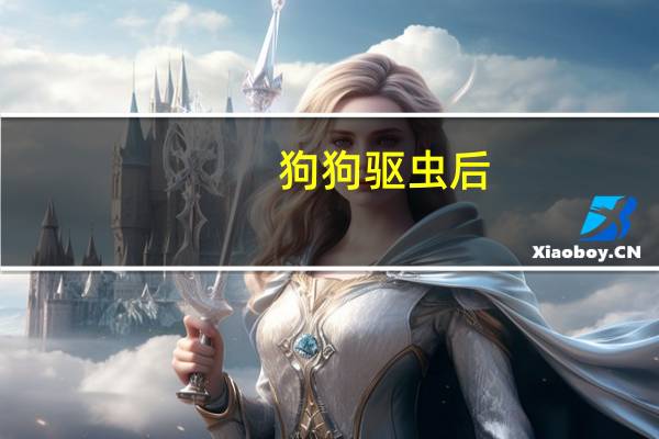 狗狗驱虫后
