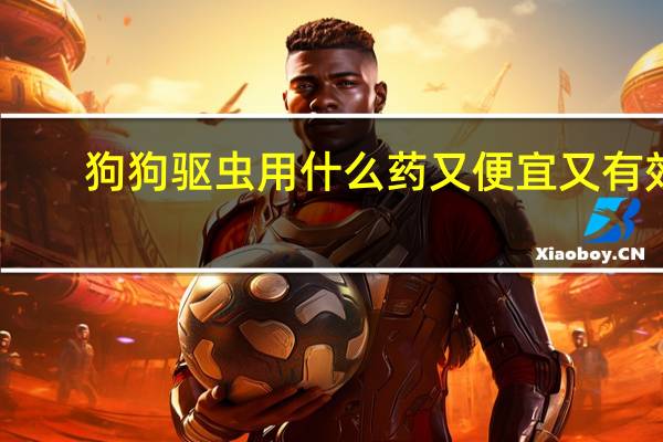 狗狗驱虫用什么药又便宜又有效