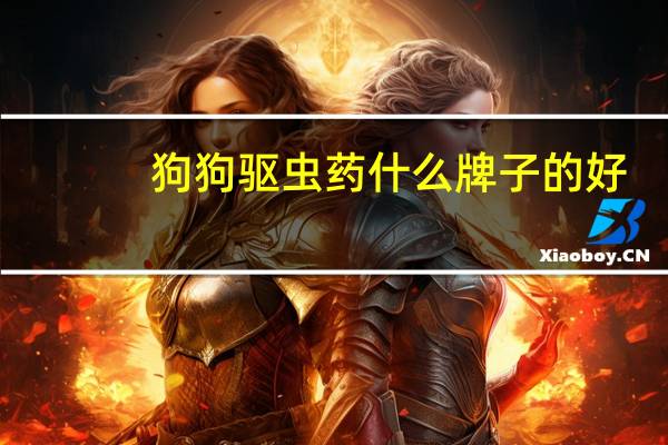 狗狗驱虫药什么牌子的好