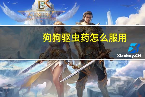 狗狗驱虫药怎么服用