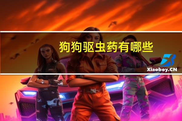 狗狗驱虫药有哪些