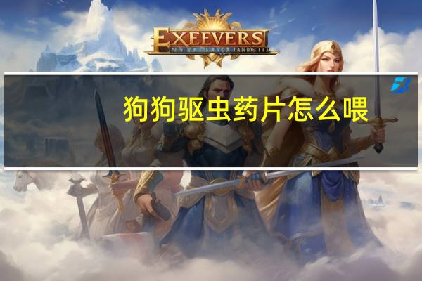 狗狗驱虫药片怎么喂