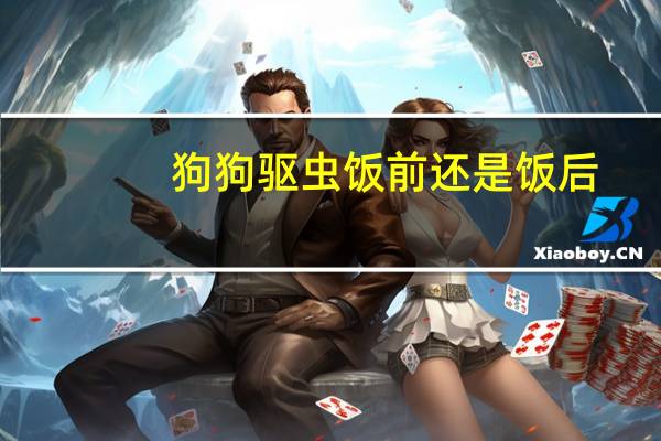 狗狗驱虫饭前还是饭后