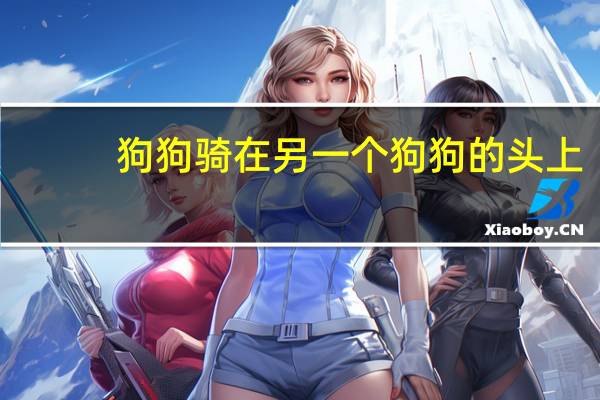 狗狗骑在另一个狗狗的头上