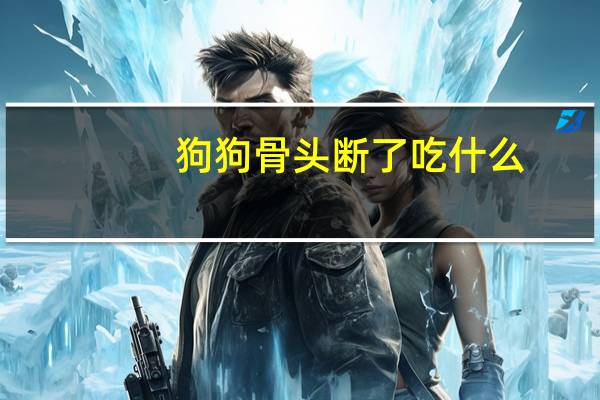 狗狗骨头断了吃什么