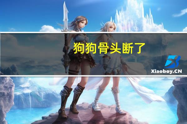 狗狗骨头断了