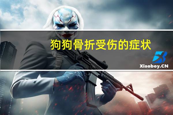 狗狗骨折受伤的症状