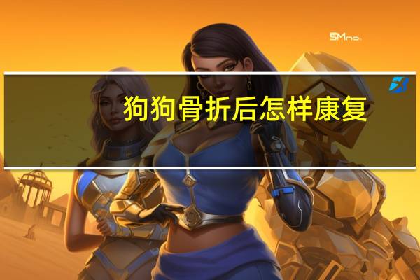 狗狗骨折后怎样康复