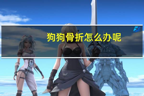 狗狗骨折怎么办呢