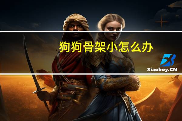 狗狗骨架小怎么办