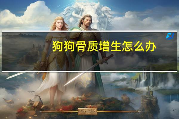 狗狗骨质增生怎么办