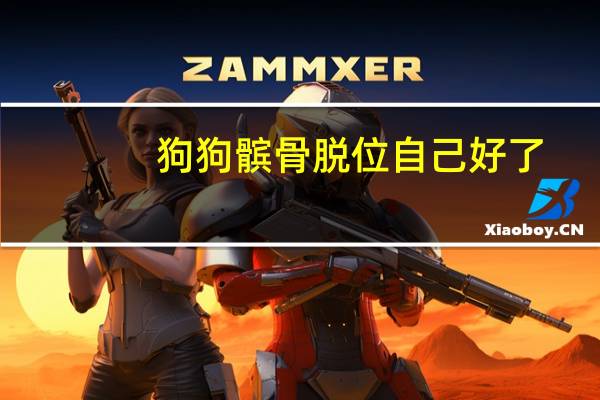 狗狗髌骨脱位自己好了
