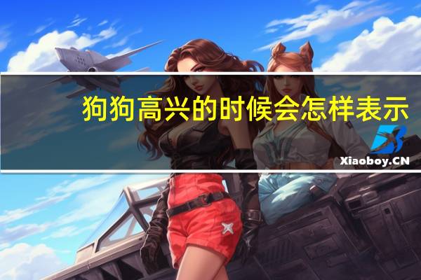 狗狗高兴的时候会怎样表示