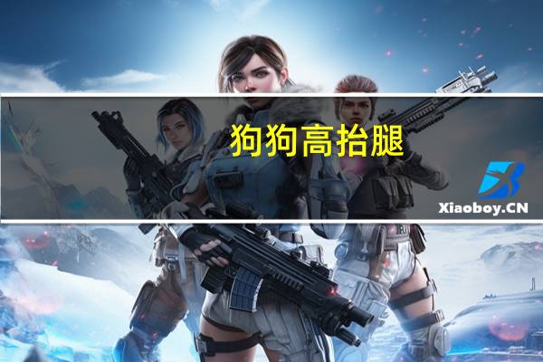 狗狗高抬腿