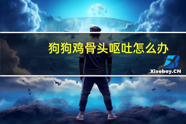 狗狗鸡骨头呕吐怎么办