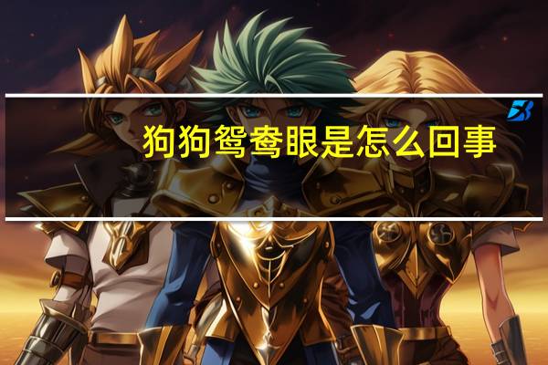 狗狗鸳鸯眼是怎么回事