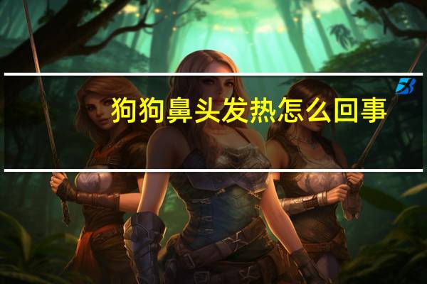 狗狗鼻头发热怎么回事