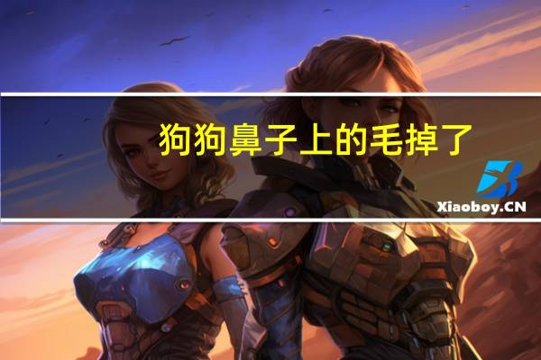 狗狗鼻子上的毛掉了