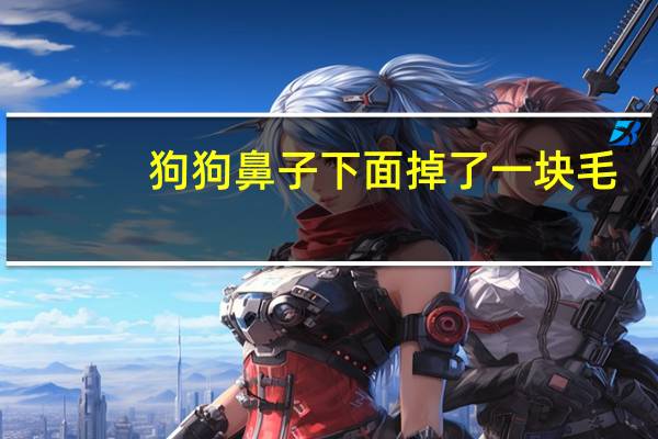 狗狗鼻子下面掉了一块毛