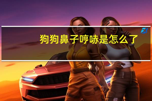 狗狗鼻子哼哧是怎么了