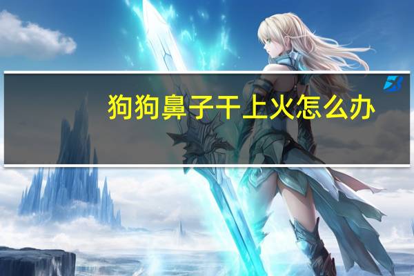 狗狗鼻子干上火怎么办