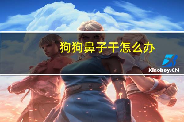 狗狗鼻子干怎么办