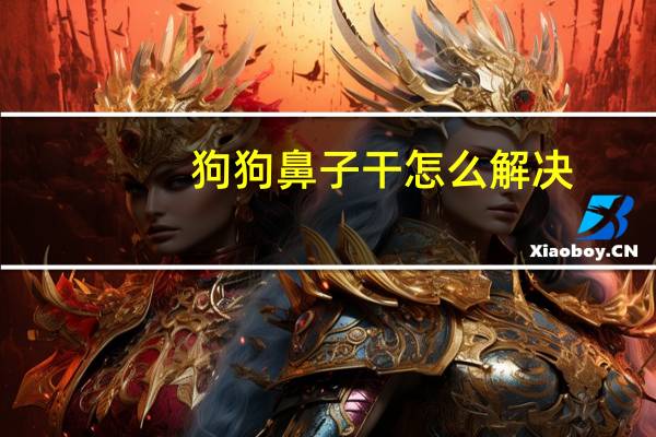 狗狗鼻子干怎么解决